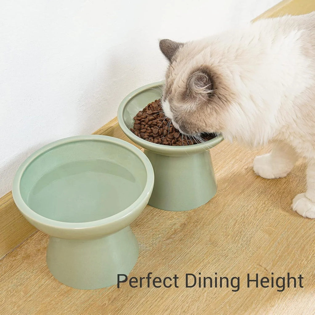 Wide shallow blue elevated ceramic bowl for cat food and water on a floor