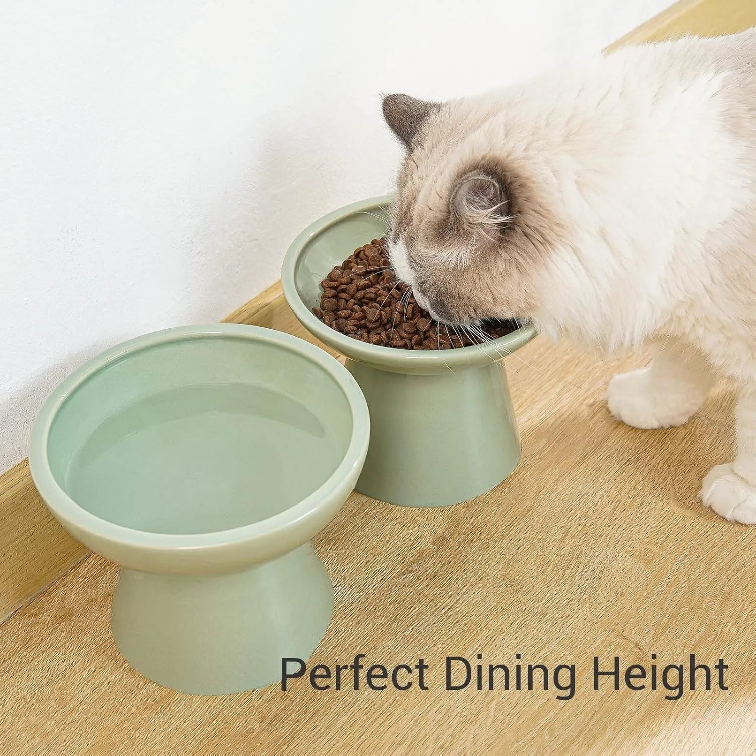 Wide shallow blue elevated ceramic bowl for cat food and water on a floor