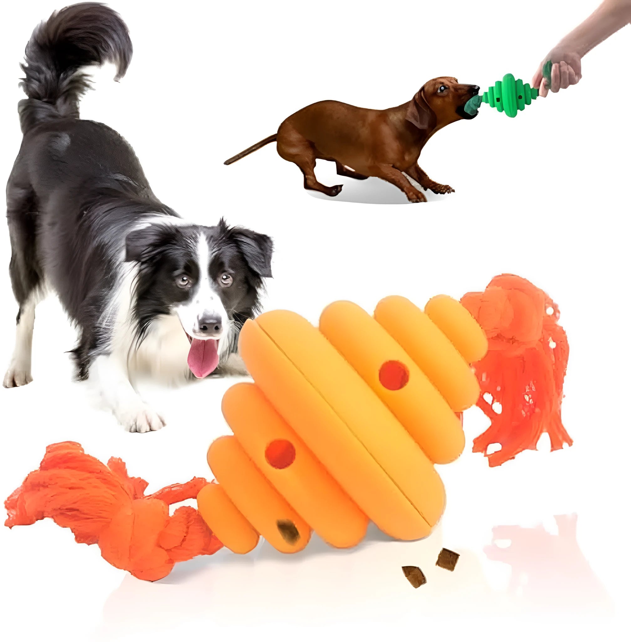Green and yellow silicone dog ball with attached knot rope toy on grass.