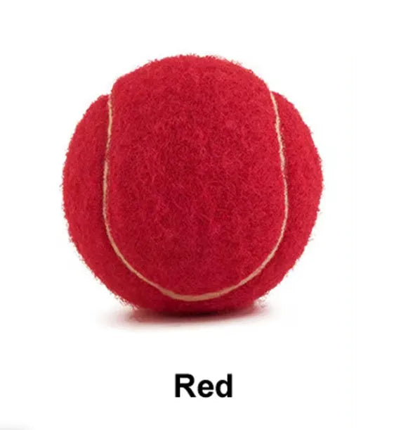 Colourful 6.3cm diameter rubber dog tennis ball toy for bite-resistant play