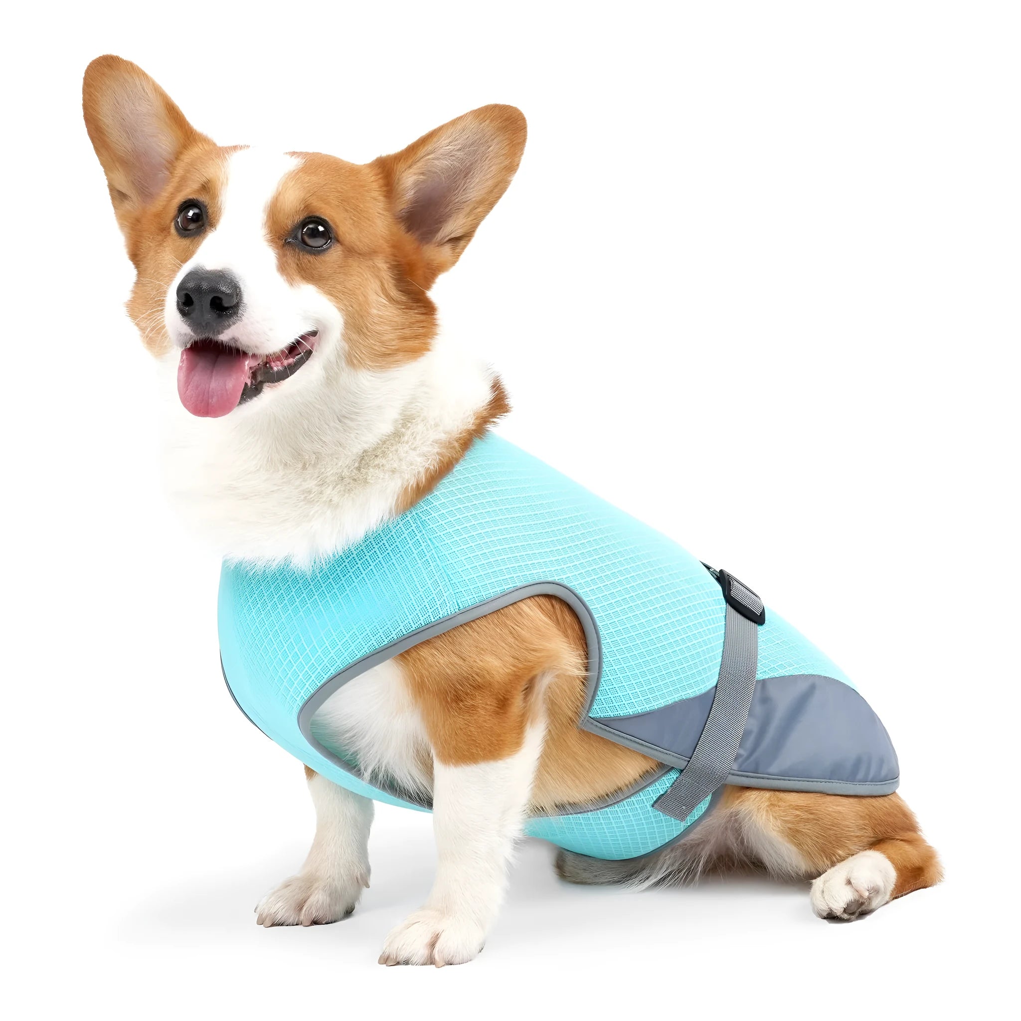 Light gray polyester mesh dog cooling vest on medium-sized dog showing breathable construction