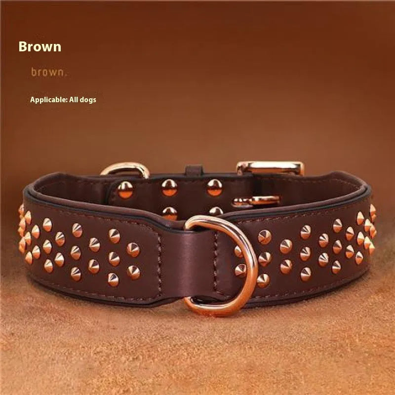 Leather dog collar with anti-bite rivets in chocolate colour showing adjustable buckle and rivet details