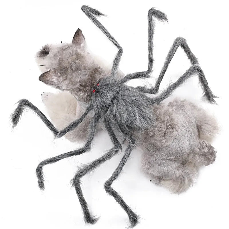 Halloween spider costume for pets in polyester with S, M, L sizing and grey, brown, black, purple colours