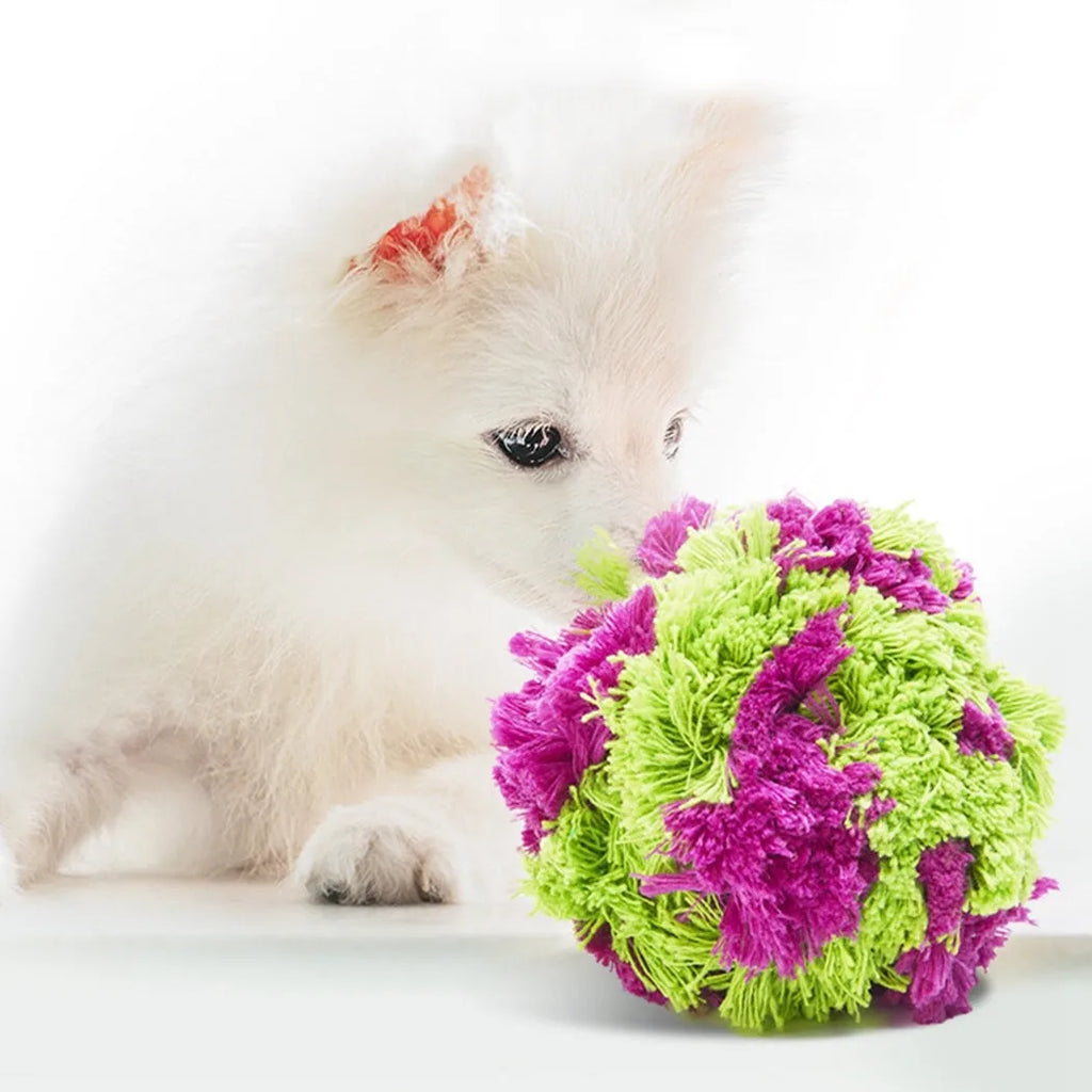 Purple plush sea urchin dog chew ball toy for interactive play and dental cleaning
