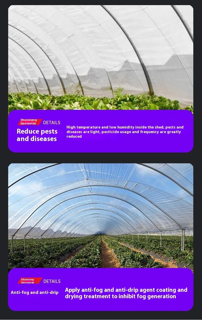 Plastic greenhouse film roll for vegetable cold protection measuring 4x8 metres
