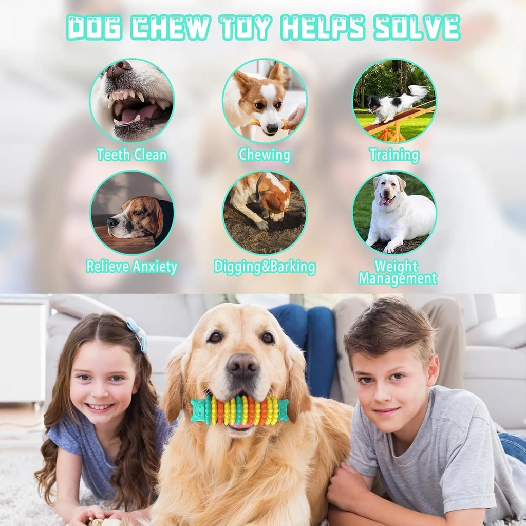 Blue caterpillar-shaped rubber dog chew toy for aggressive chewers on wooden floor