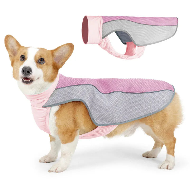 Light gray polyester mesh dog cooling vest on medium-sized dog showing breathable construction