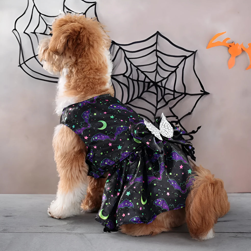 Angel wings Halloween dog costume in bright pumpkin colour on small dog