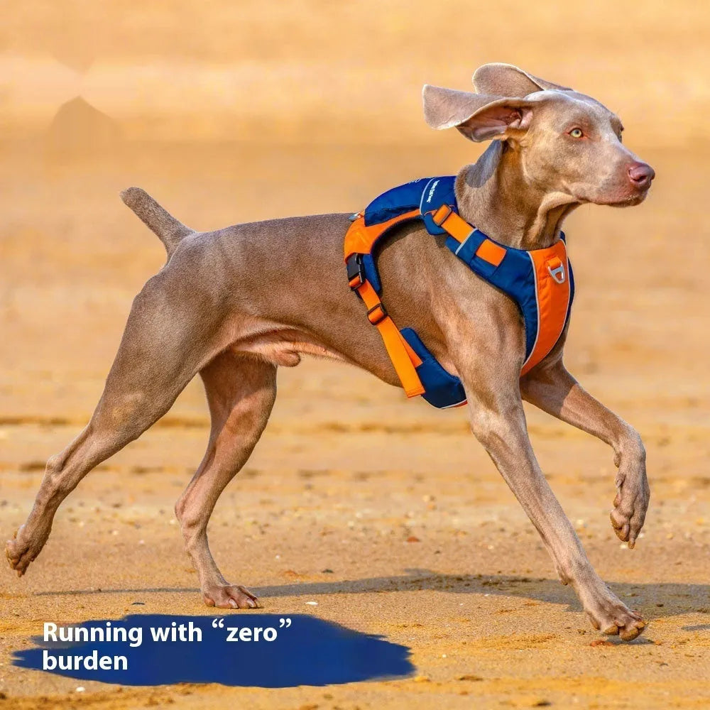 Dog chest strap harness with hand rope in vest style design available in orange blue or yellow brown colours