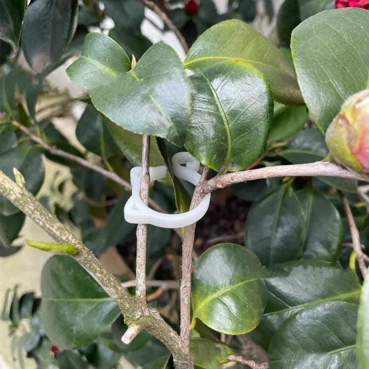 Cat-shaped plastic gardening clip in green colour measuring 3x4cm for plant support