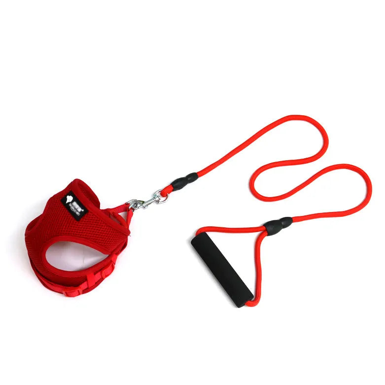 Blue dog leash with foam handle and matching collar for small to medium sized dogs