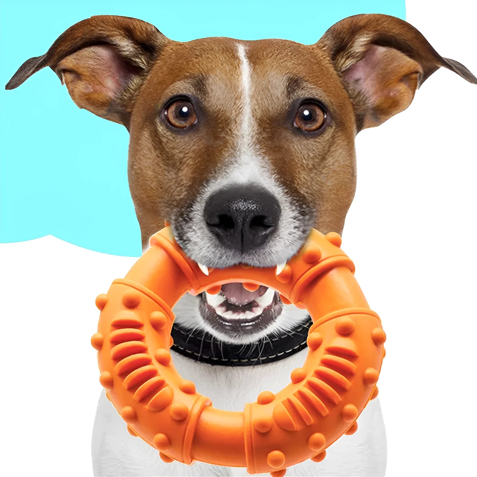 Blue hollow dog fetching stick toy showing bendy texture and 13 cm length for safe fetch games