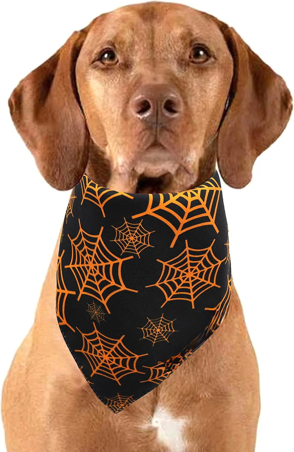 Black and orange reversible Halloween dog bandana with pumpkin and spider web patterns