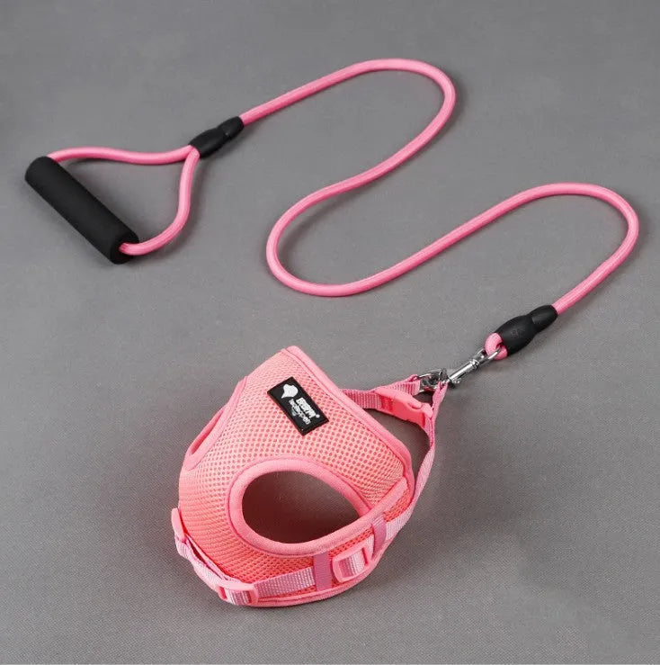 Blue dog leash with foam handle and matching collar for small to medium sized dogs