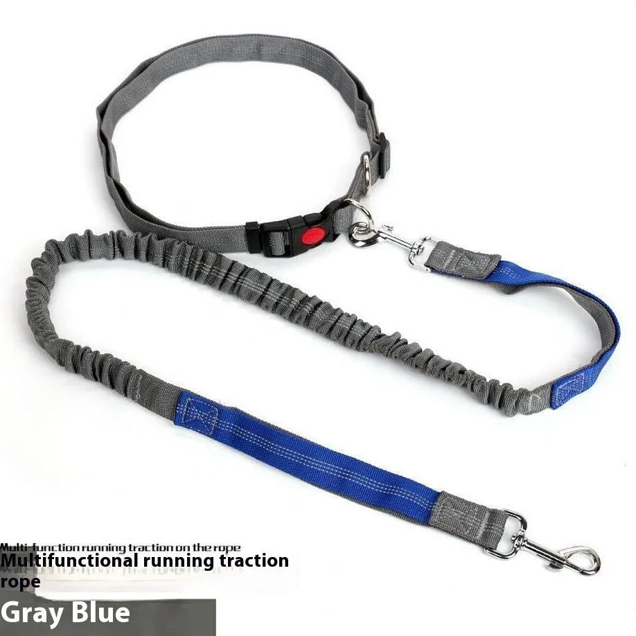 Reflective elastic dog leash in two-tone colours with 2.5cm width nylon sling