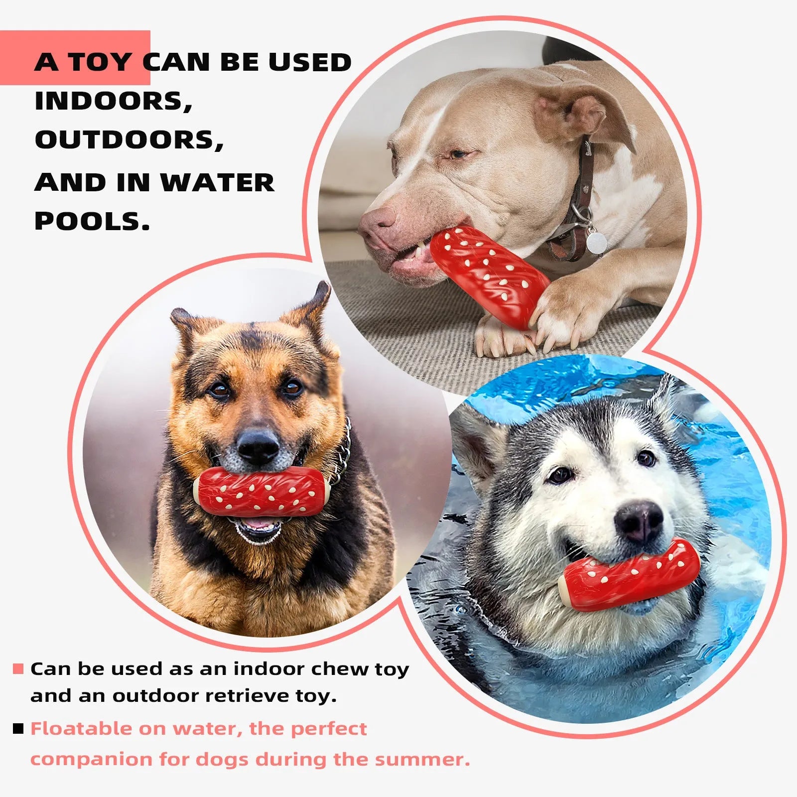 Primary colour plastic glue toothbrush shaped dog chew toy with molar rod texture and snack compartment