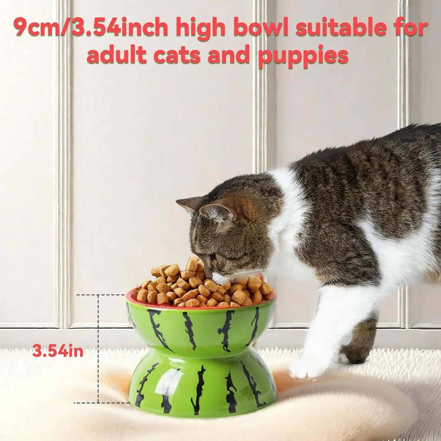 Ceramic raised cat bowl with tilted design and colourful fruit pattern