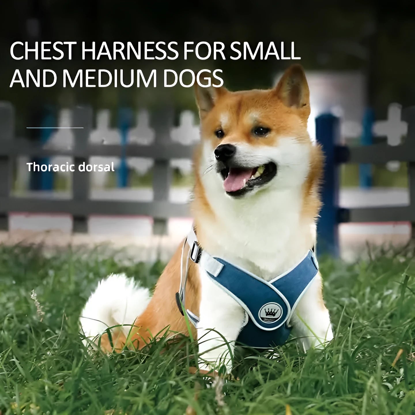 Adjustable dog and cat harness with breathable mesh material and metal D-ring in multiple colour options