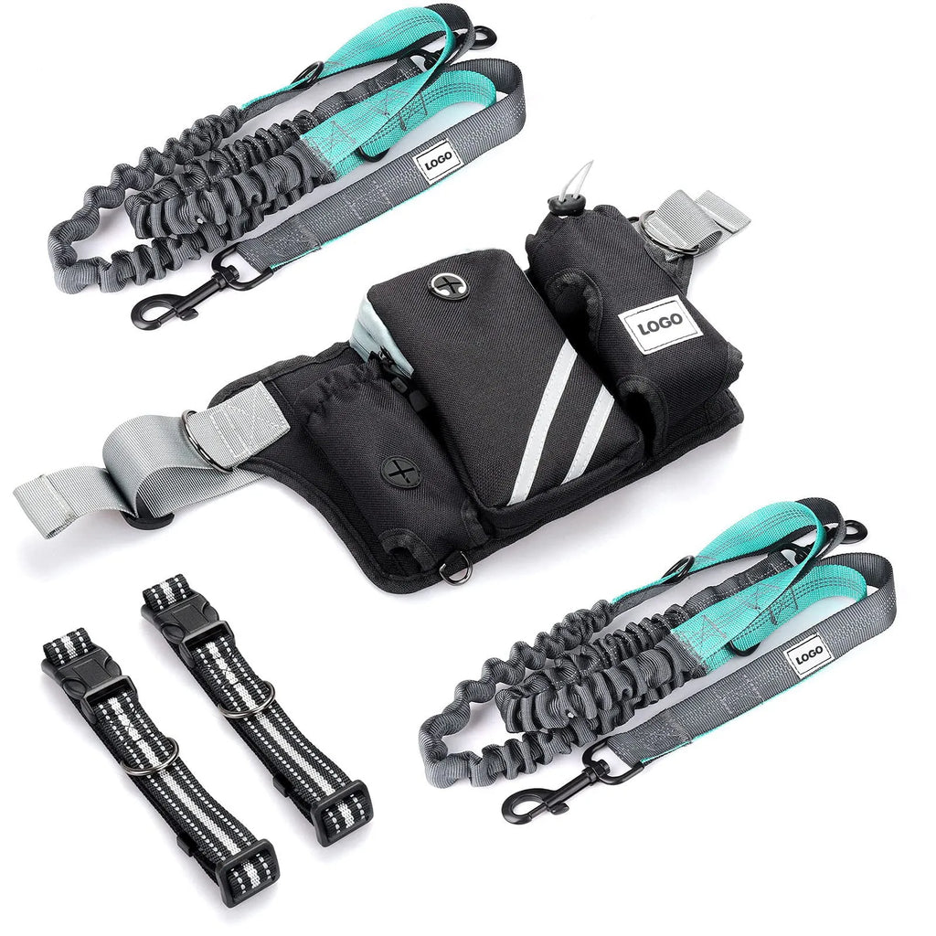Black waterproof nylon pet training bag and dog walking leash set for outdoor sports