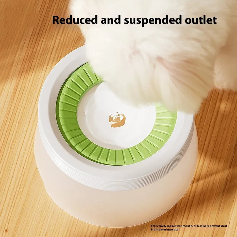 Green non-wet mouth suspension pet water bowl for dogs and cats on a white plate