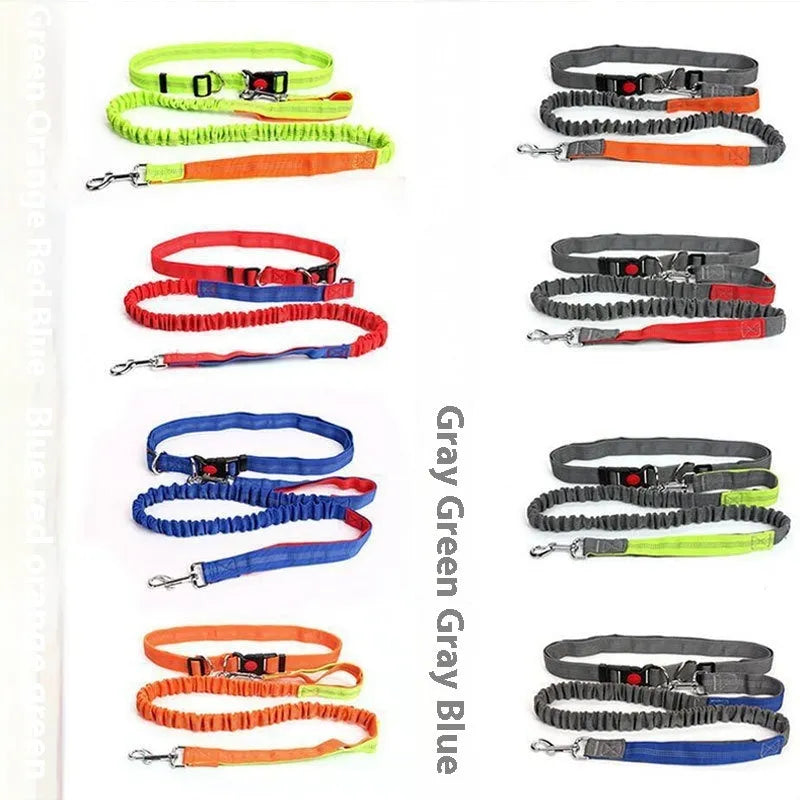 Reflective elastic dog leash in two-tone colours with 2.5cm width nylon sling
