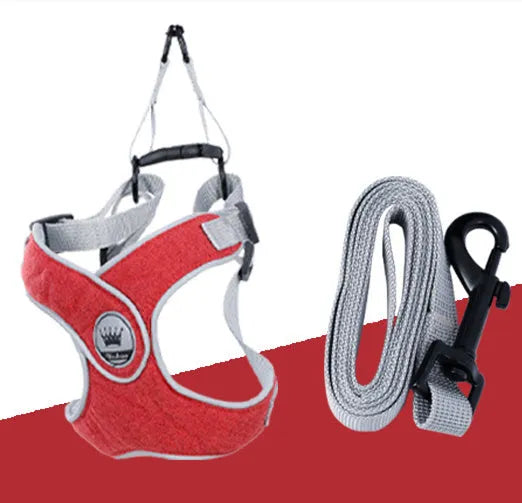 Adjustable dog and cat harness with breathable mesh material and metal D-ring in multiple colour options