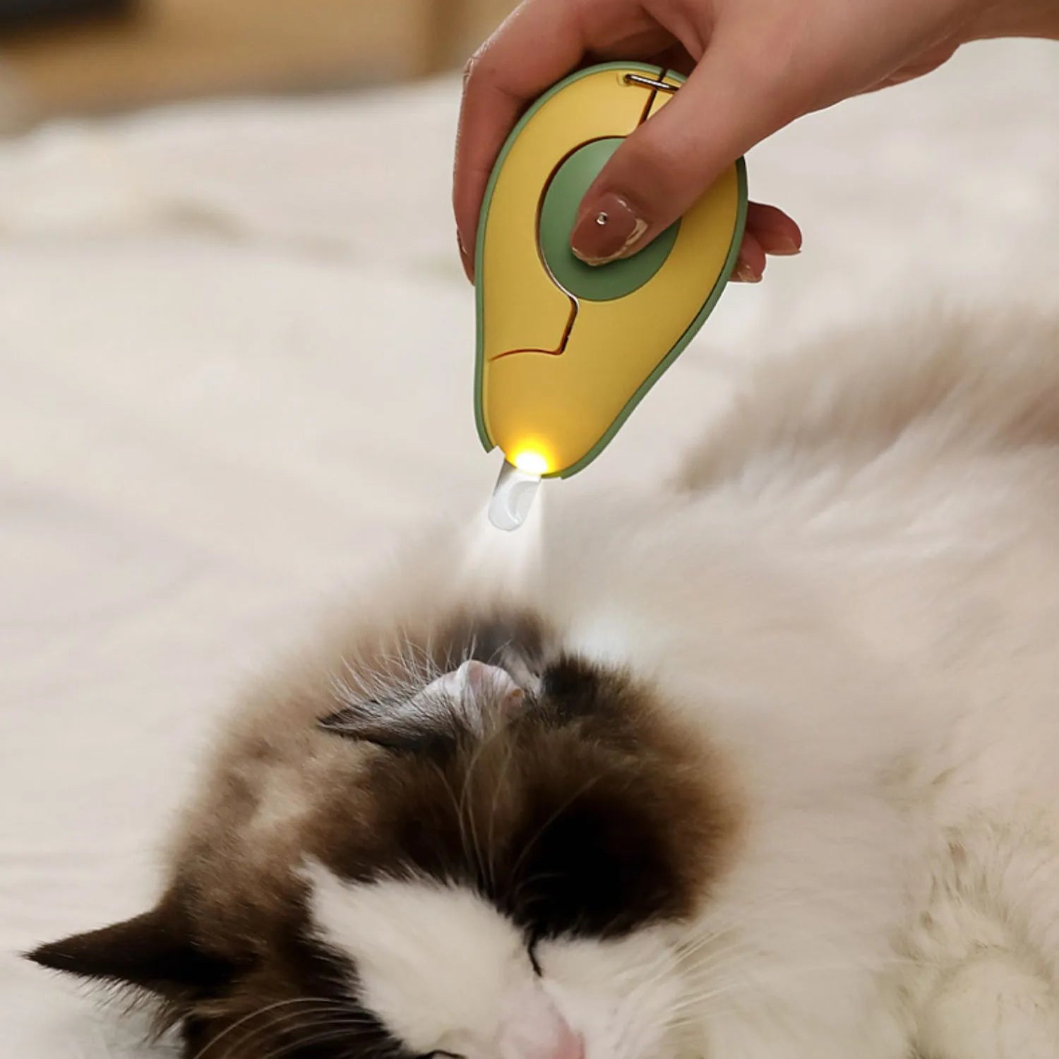 Professional pet nail clipper with LED safety light for trimming small dog and cat claws, shown in green colour.