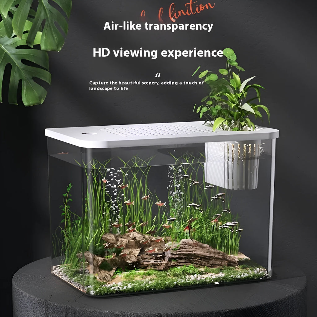 Medium plastic betta fish tank with cover in black or white colour options