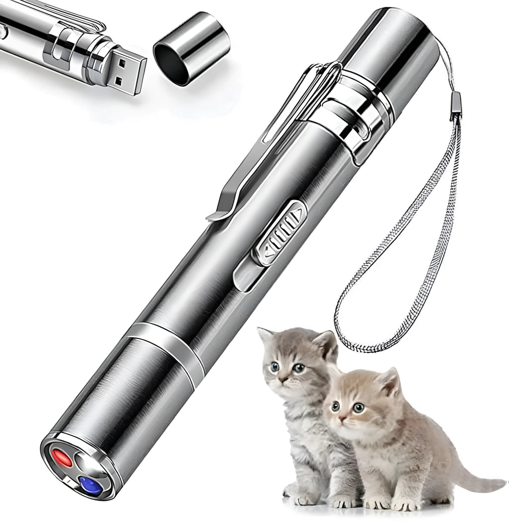 Silver aluminium alloy cat laser pointer toy with USB charging port and multiple light patterns.