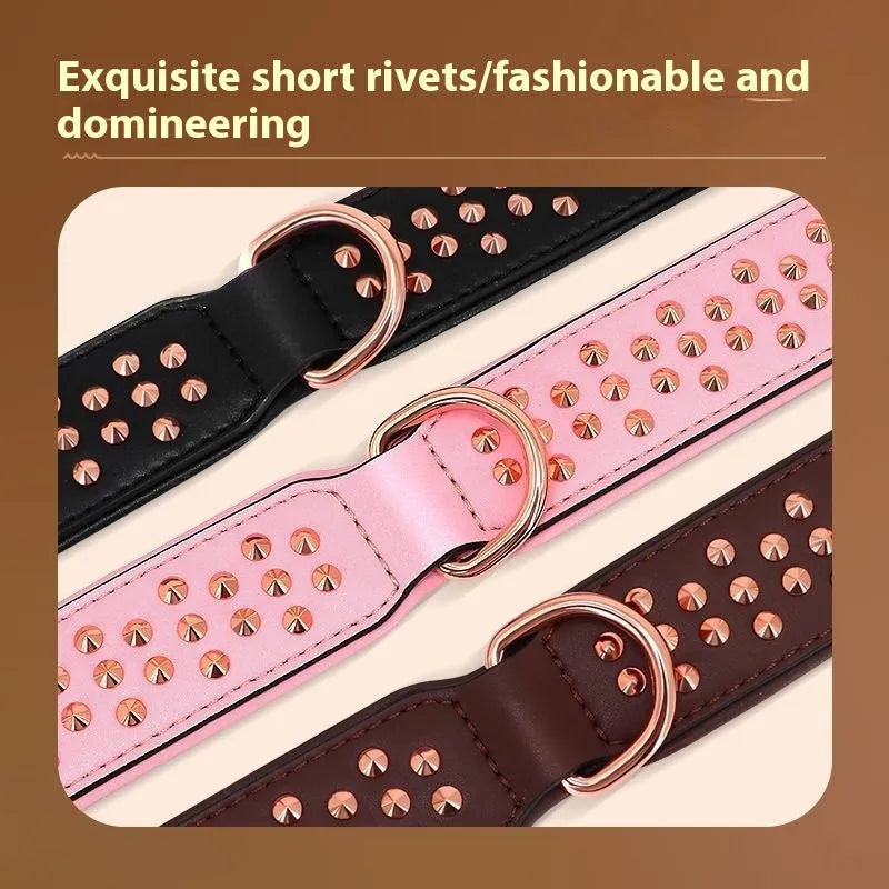 Leather dog collar with anti-bite rivets in chocolate colour showing adjustable buckle and rivet details