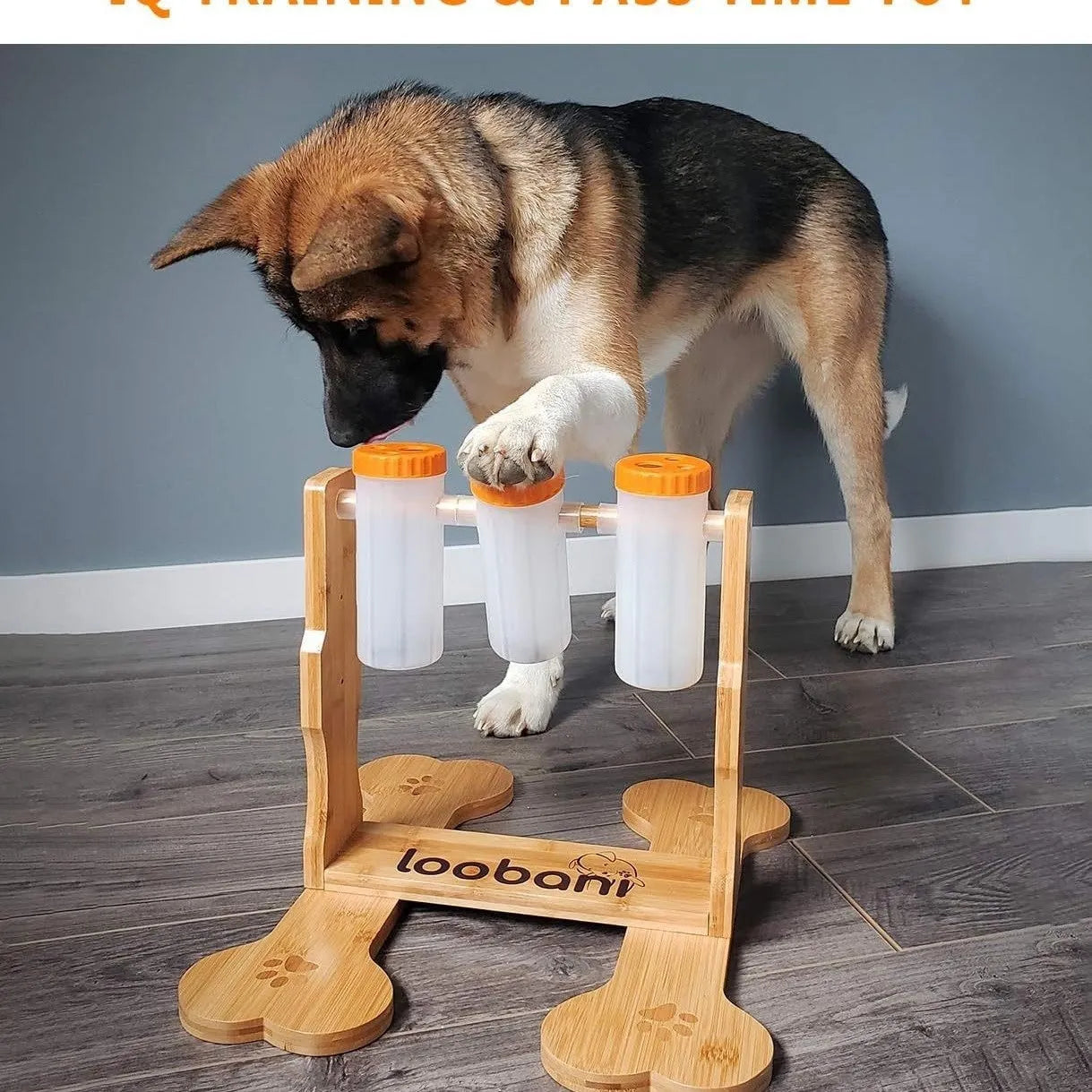Natural wood colour interactive dog puzzle toy snack dispenser feeder on floor