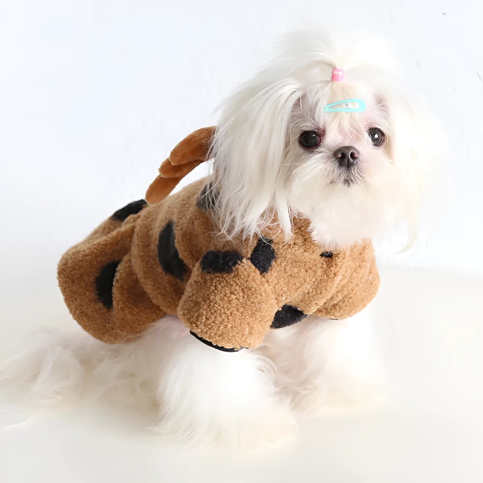 Polka dot pattern pet clothing for cats and dogs in skirt or four-leg styles