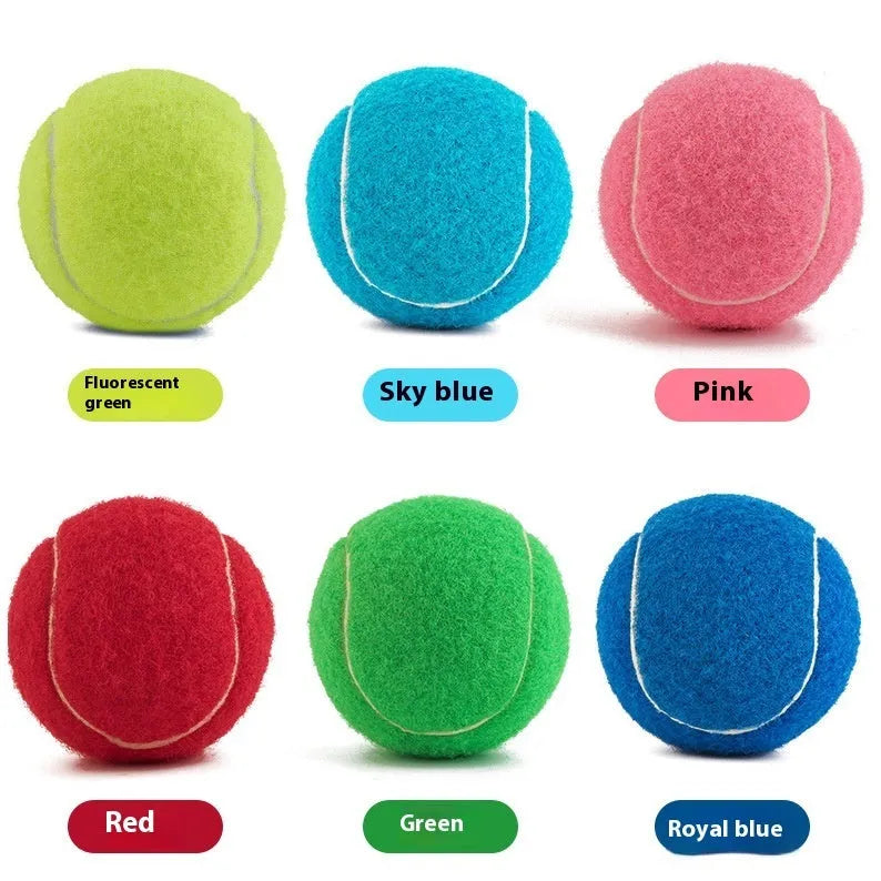 Colourful 6.3cm diameter rubber dog tennis ball toy for bite-resistant play