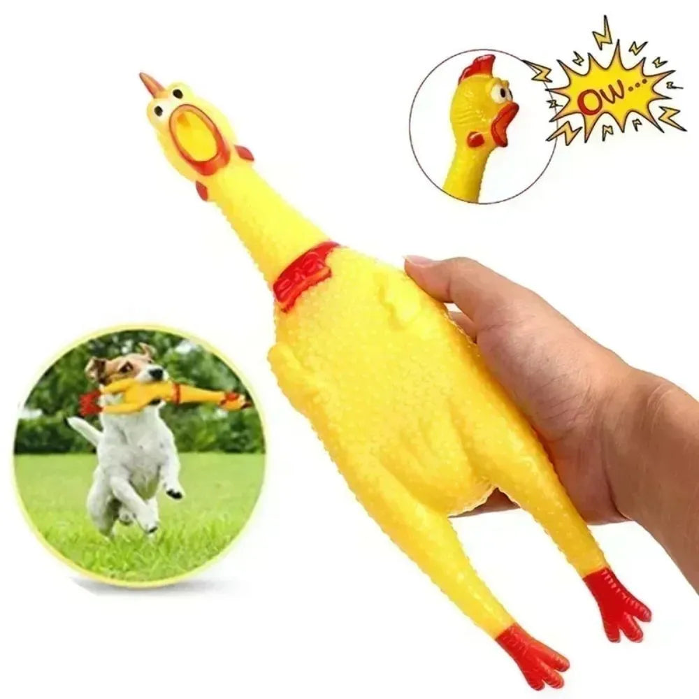Yellow rubber screaming chicken dog toy with squeaker in three size options