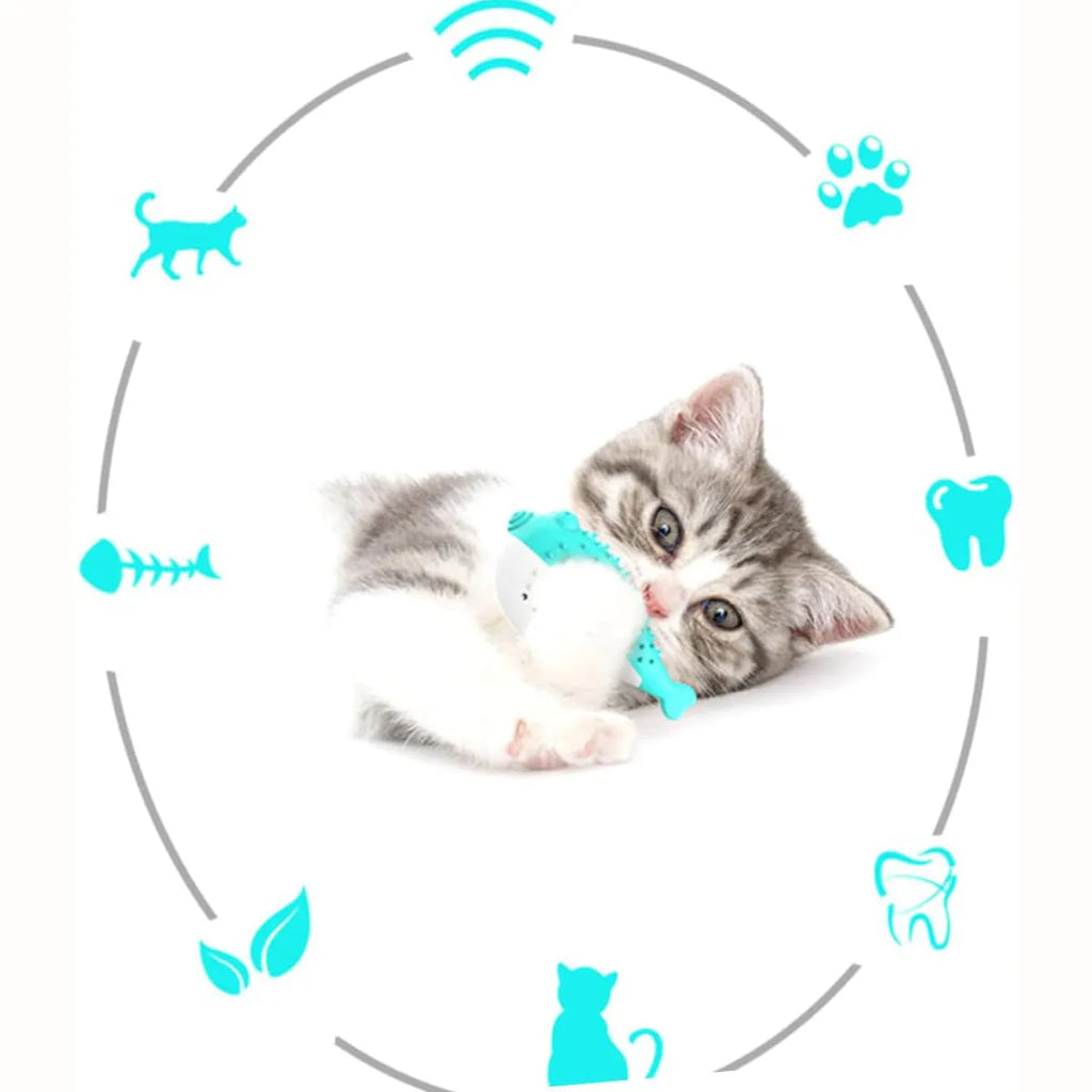 Blue silicone fish-shaped cat chew toy with a protruding grabbing handle on a white background.