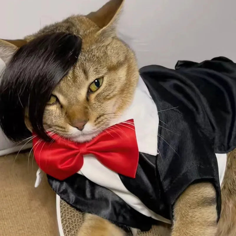 Black polyester cat wig with imitation braid fox tail design on feline model