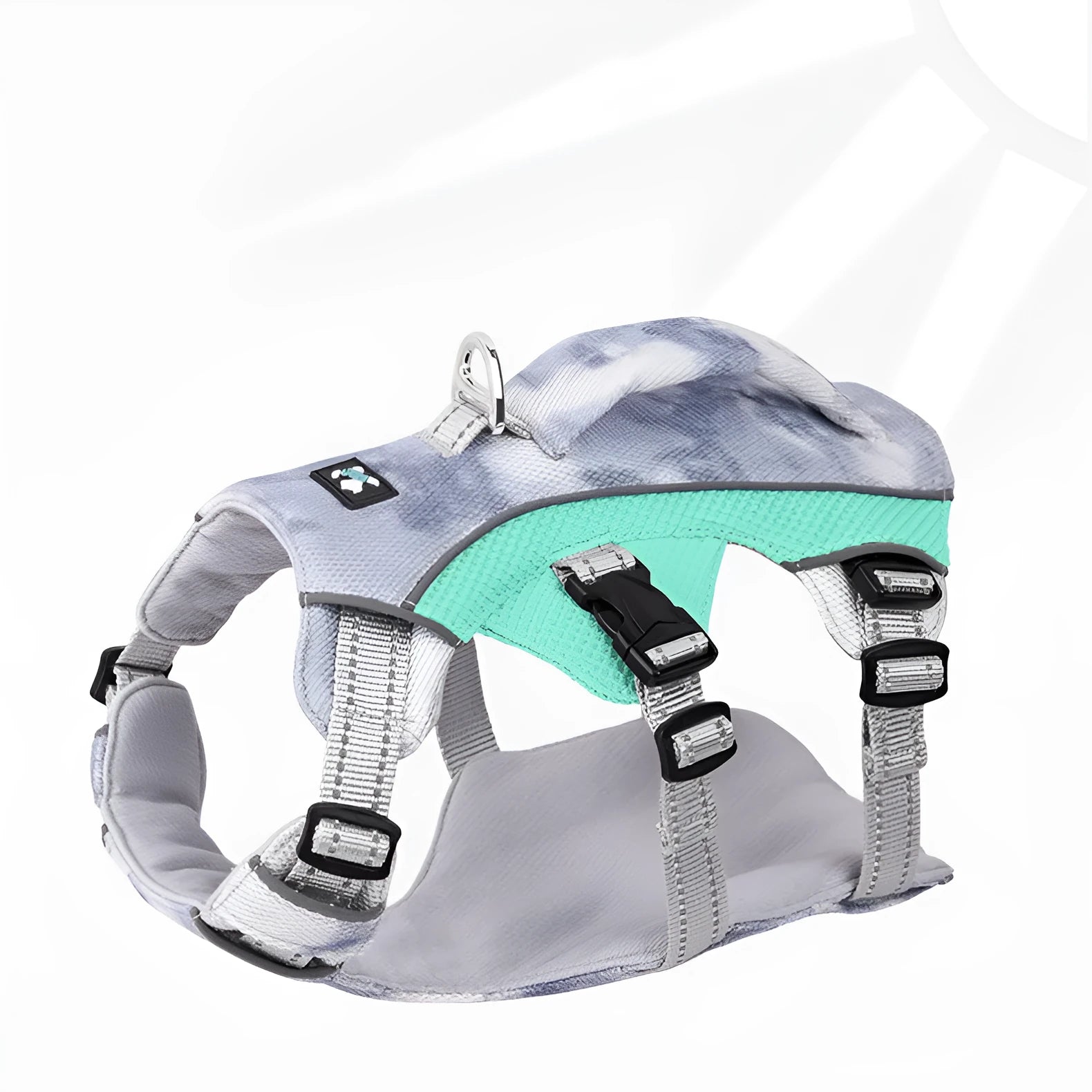Reflective light blue polyester dog harness with chest strap on a small dog.