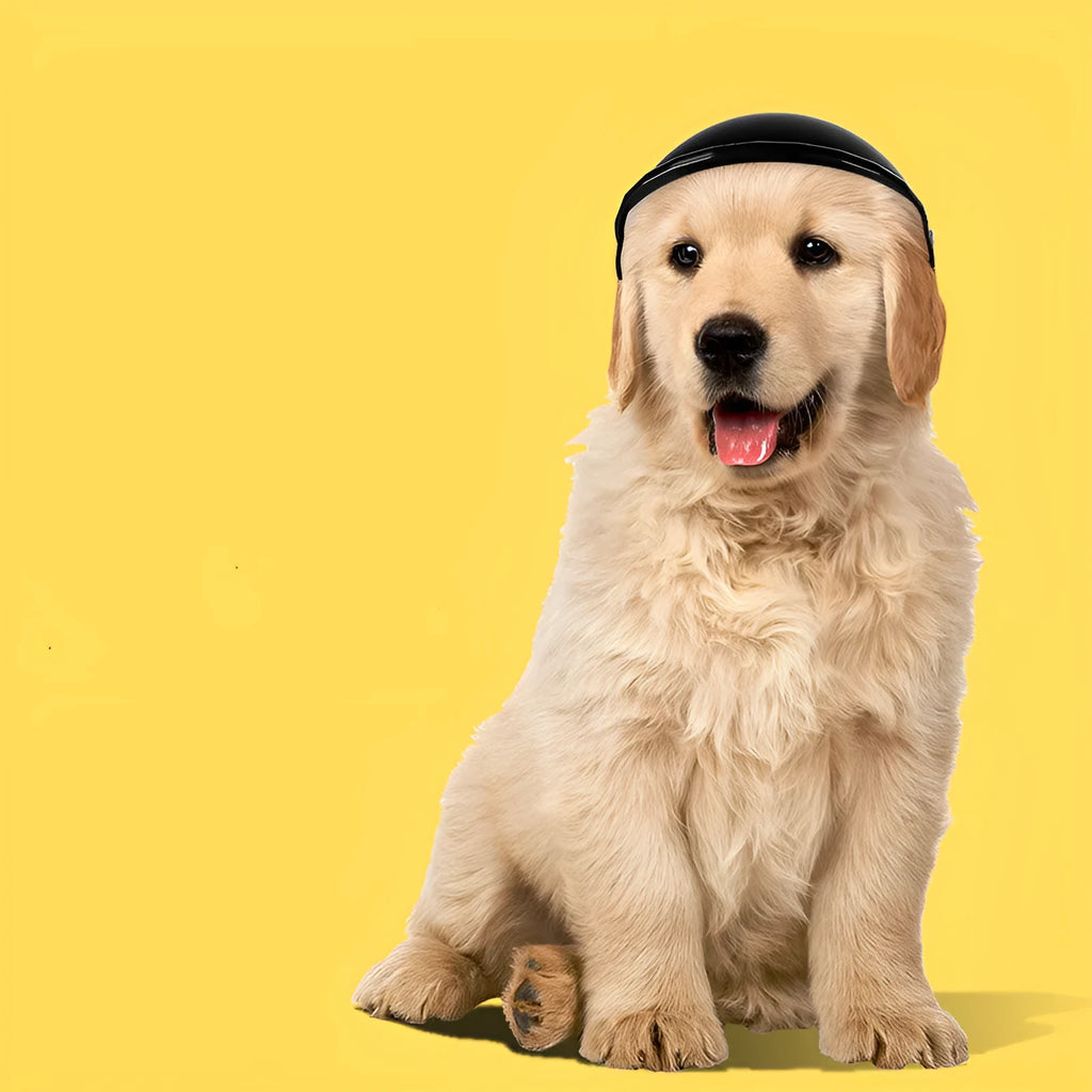 Small S size plastic pet motorcycle safety helmet in pink, black, yellow, or green colours