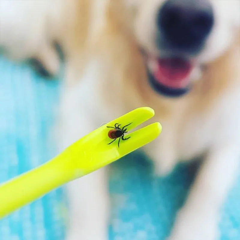 Three plastic pet tick removal hook tools in blue or green for dogs and cats.
