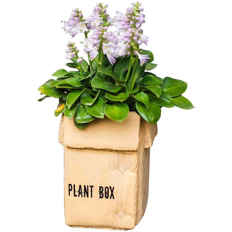 Cement flower pot with brown paper box texture and drainage holes, shown in a neutral home setting.