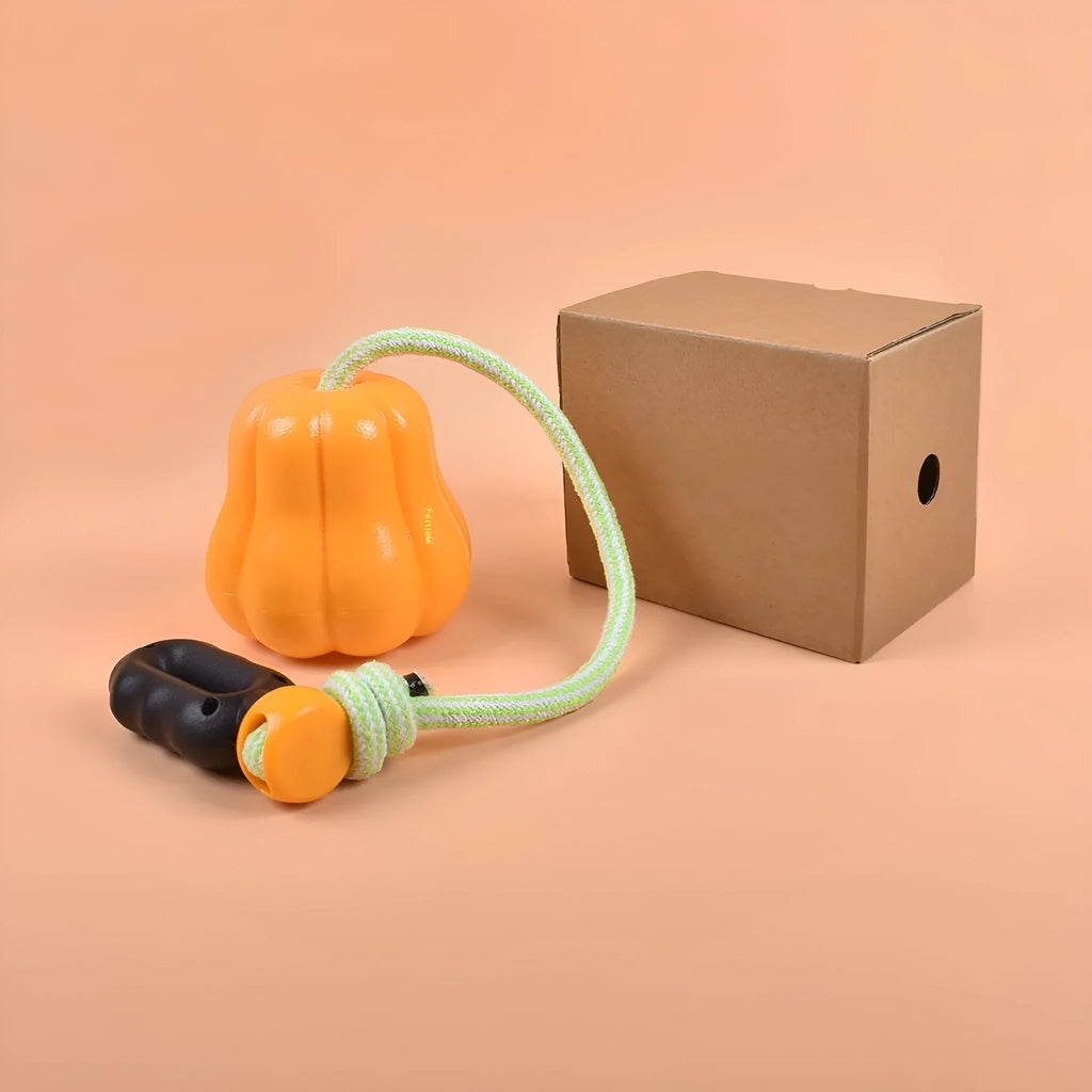 Pumpkin coloured plastic dog chew toy with an attached rope for tugging and fetching.