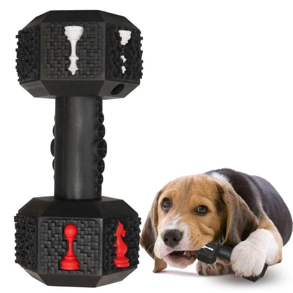 Durable hollow dumbbell dog chew toy in blue with textured surface for dental care, shown next to a treat.