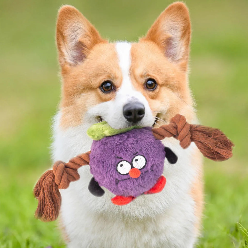 Interactive plush rope knot dog toy in green or purple for tug of war and teeth cleaning