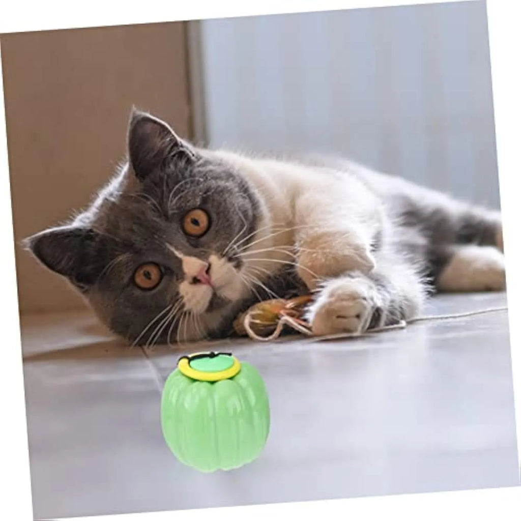 Orange pumpkin-shaped plastic dog chew ball with a squeaker for small dogs and teething puppies.