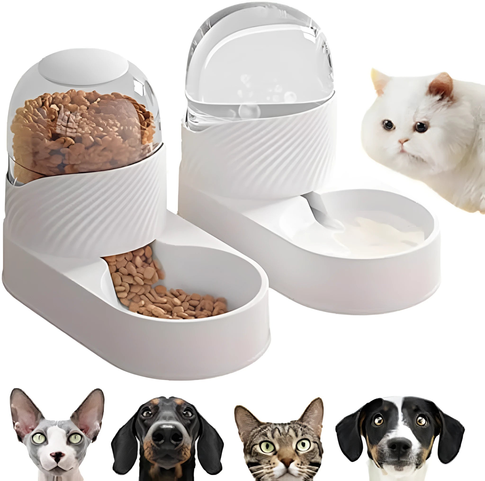 White automatic cat feeder and water dispenser set, each with 2L capacity and wave-shaped design.