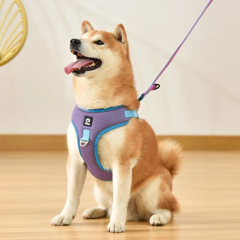 Adjustable reflective dog harness in polyester for small to medium pets, shown in multiple colours.