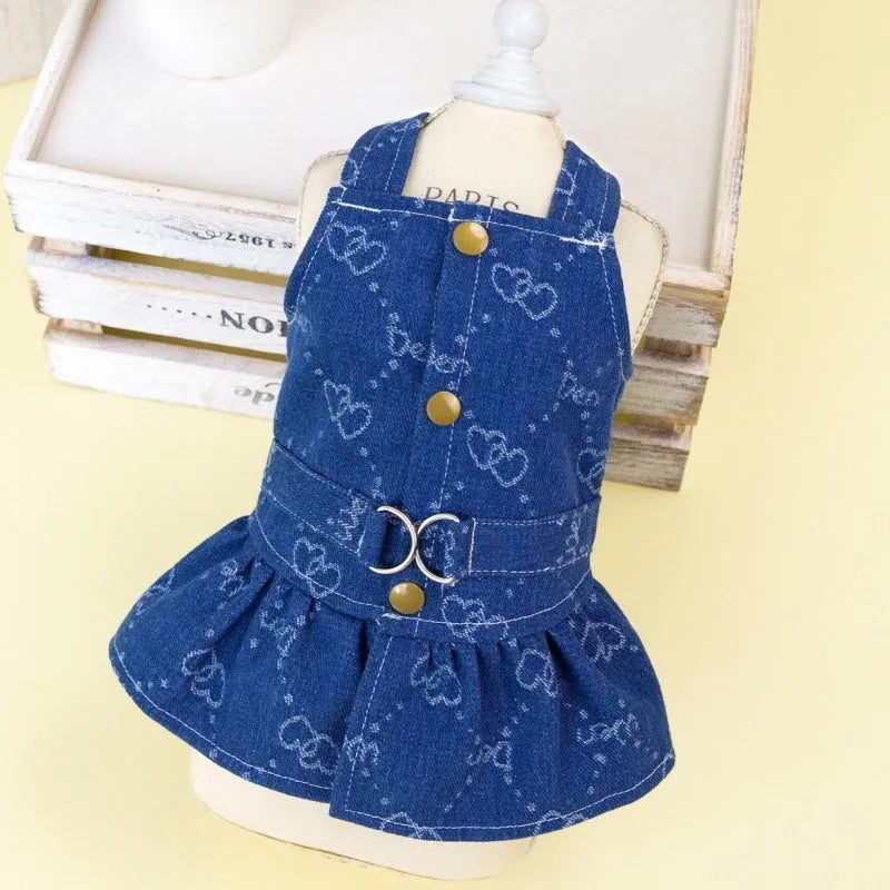 Small dog wearing a denim Princess dress in a bracket-skirt style.