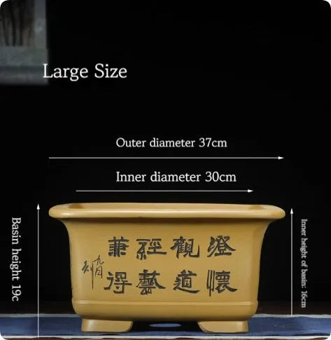 Large purple clay Chinese style flower pot for indoor bonsai or plants.