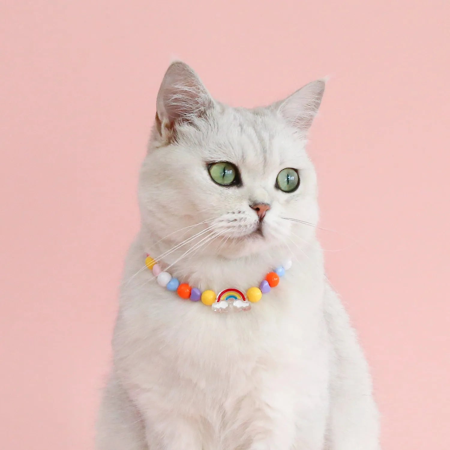 Colourful plastic pearl pet necklace for cats and small dogs in peach, rainbow or flower bead designs