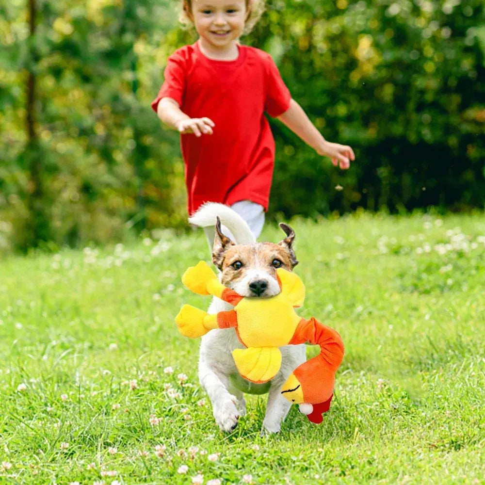 Screaming chicken sound squeaky dog chew toy in black, green, or orange.